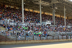 Grandstands at the Illinois State Fairgrounds