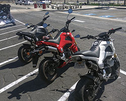 2013-2015 Honda Grom / MSX125 motorcycles might not be the biggest kid on the block but they certainly can boast more smiles per gallon than larger more expensive bikes