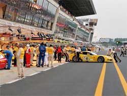 Corvette Racing at Le Mans, photo by Greg Johnson