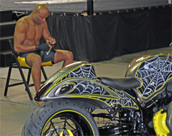 One of the world's top ranked Mixed Martial Artists Anderson Silva and his striking new custom Hayabusa