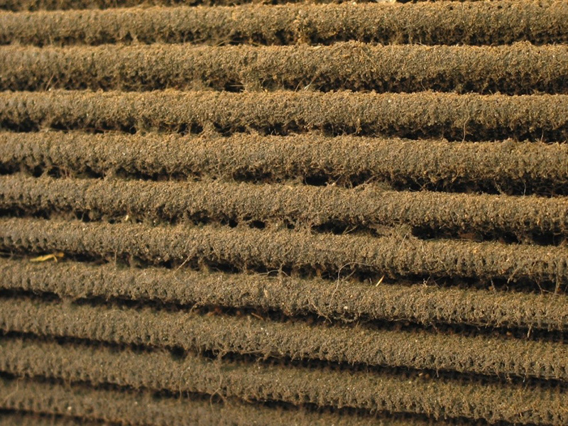 Dirt and grime on air filter